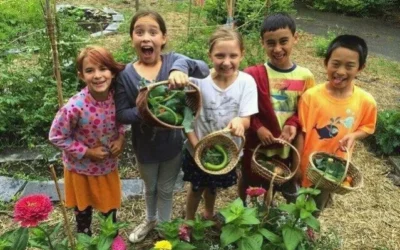 Montessori a příroda – učení skrze reálný svět